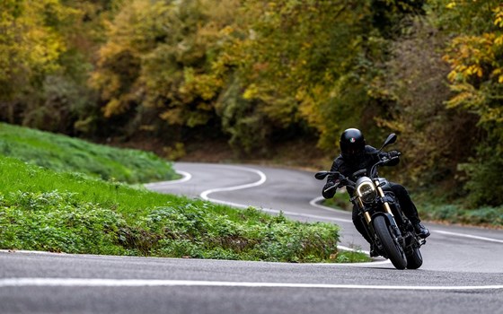 Neufahrzeug Benelli Leoncino 800 - Bild 4