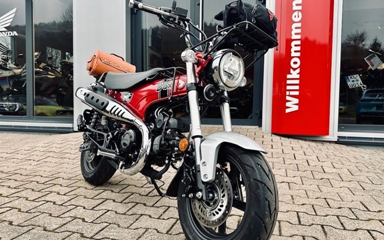 Gebrauchtmotorrad Honda Dax 125 - Bild 2