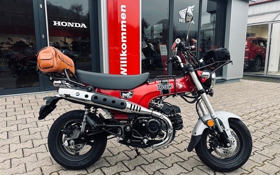 Gebrauchtmotorrad Honda Dax 125 - Bild 4