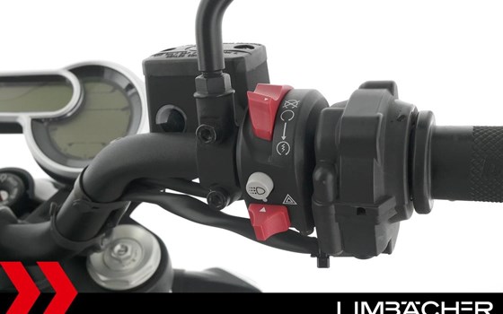 Gebrauchtmotorrad Ducati Scrambler 1100 PRO - Bild 18