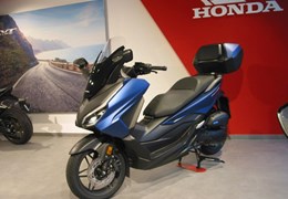 Neumotorrad Honda Forza 125