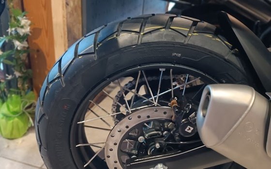 Neufahrzeug Royal Enfield Himalayan 450 - Bild 6