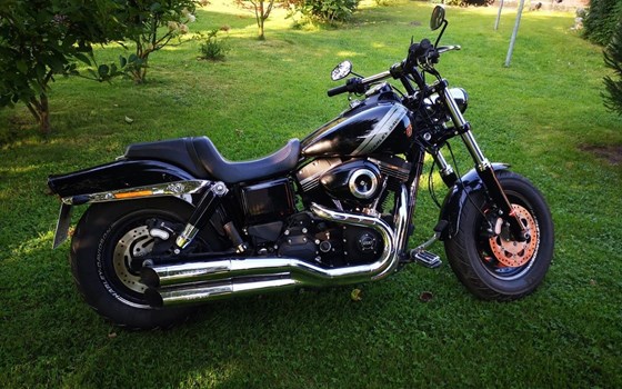 Gebrauchtmotorrad Harley-Davidson Dyna Fat Bob FXDF - Bild 2
