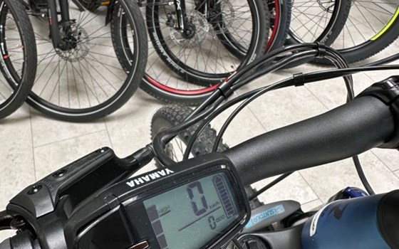 Neufahrzeug Raymon HardRay E - Bild 12