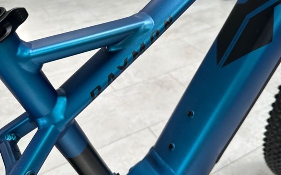 Neufahrzeug Raymon HardRay E - Bild 6