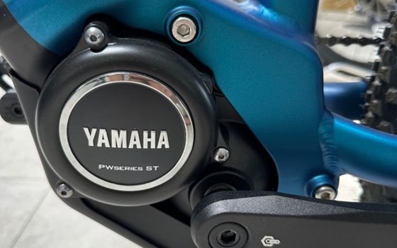 Neufahrzeug Raymon HardRay E - Bild 7