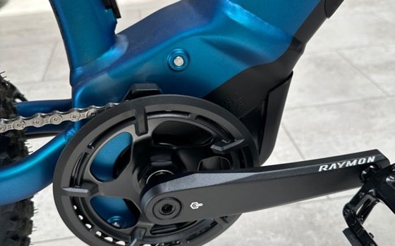 Neufahrzeug Raymon HardRay E - Bild 8