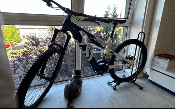 Neufahrzeug Husqvarna MC  4 - Bild 3