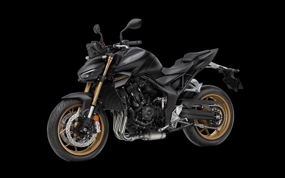 Neufahrzeug Honda CB1000 Hornet SP - Bild 4