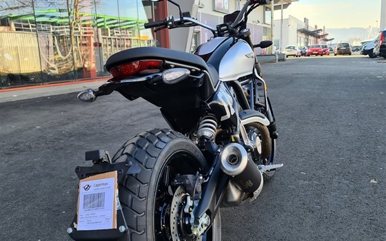 Neufahrzeug Ducati Scrambler Icon - Bild 3 Neufahrzeug Ducati Scrambler Icon - Bild 3