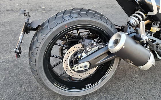 Neufahrzeug Ducati Scrambler Icon - Bild 8 Neufahrzeug Ducati Scrambler Icon - Bild 8