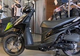 Gebrauchte Suzuki Address 110