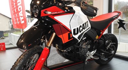 Neumotorrad Ducati DesertX Rally