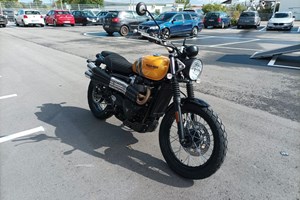 Angebot Triumph Scrambler 900