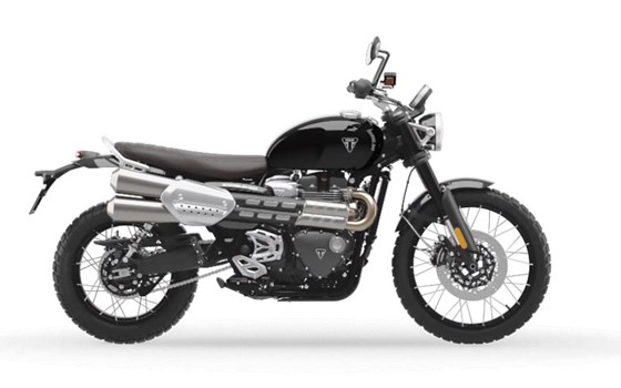 Gebrauchtmotorrad Triumph Scrambler 1200 X - Bild 6