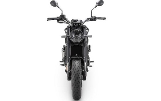 Neufahrzeug Benelli Leoncino 500 - Bild 6