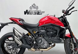 Neumotorrad Ducati Monster