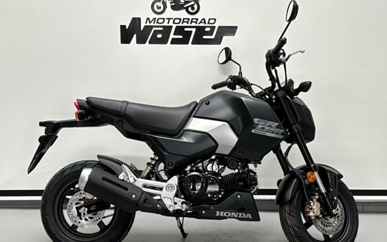 Neufahrzeug Honda MSX125 Grom - Bild 1