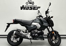 Neumotorrad Honda MSX125 Grom