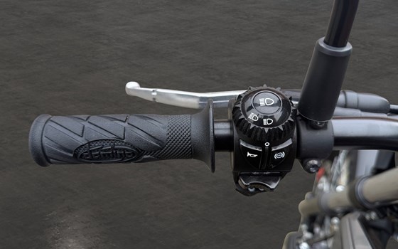 Neufahrzeug Beta Alp X - Bild 8