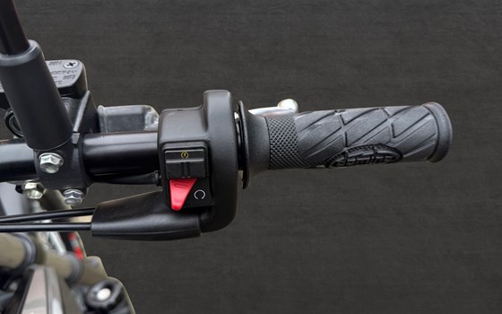 Neufahrzeug Beta Alp X - Bild 9