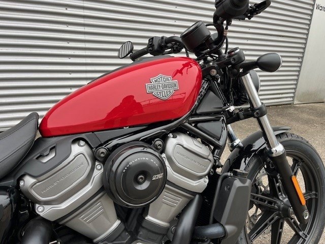 Harley-Davidson Nightster (Redline Red) - Bild 3