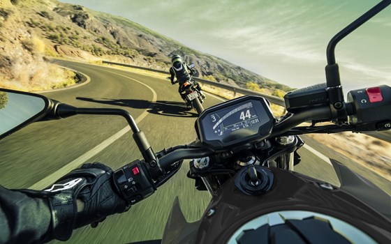 Neufahrzeug Kawasaki Z650 - Bild 4