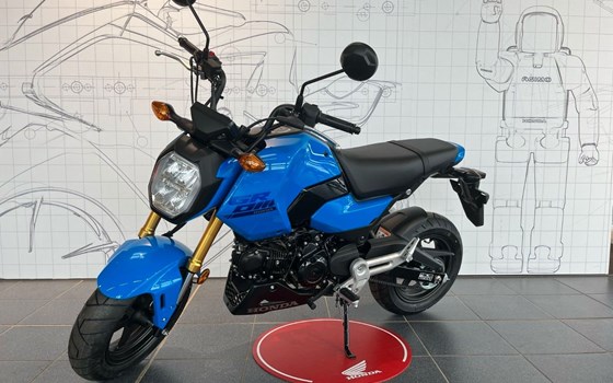 Neufahrzeug Honda MSX125 Grom - Bild 1