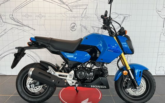 Neufahrzeug Honda MSX125 Grom - Bild 4