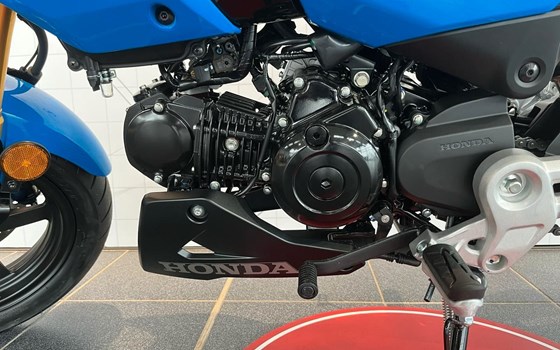 Neufahrzeug Honda MSX125 Grom - Bild 6