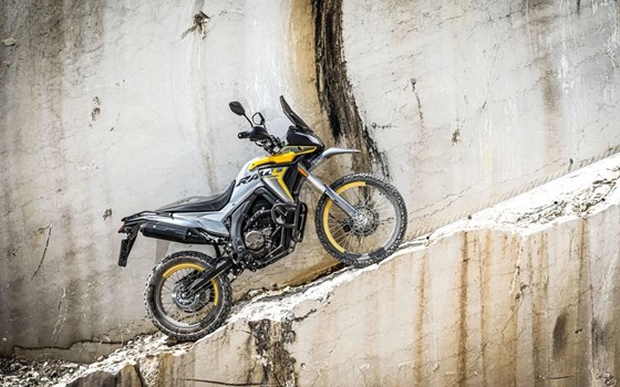 Neufahrzeug Voge 300 Rally - Bild 3