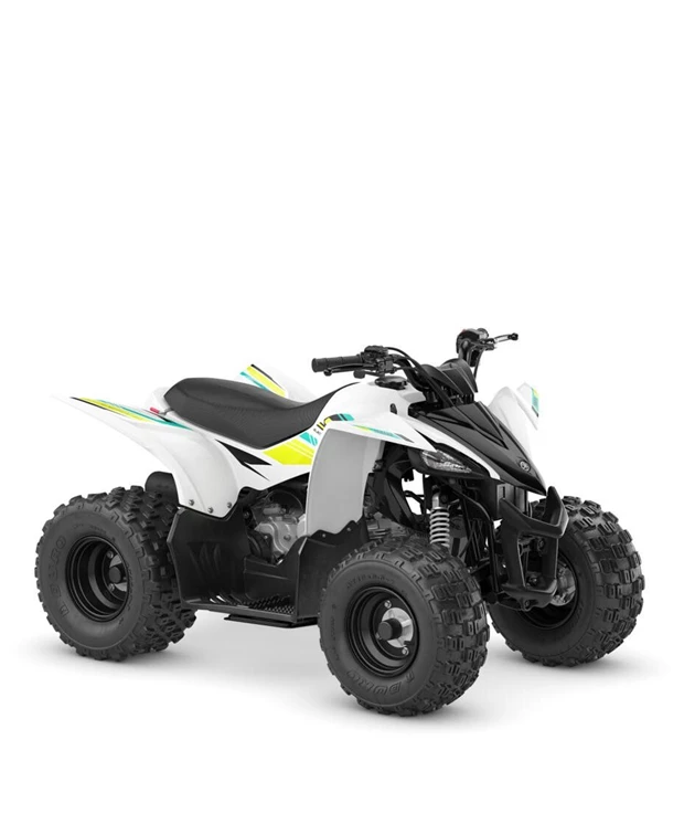 Yamaha YFZ50<br />