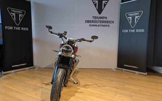 Neufahrzeug Triumph Speed Twin 1200 - Bild 3 Neufahrzeug Triumph Speed Twin 1200 - Bild 3