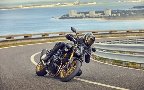 Neufahrzeug Honda CB1000 Hornet SP - Bild 19