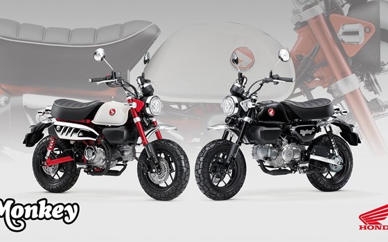 Neufahrzeug Honda Monkey 125 - Bild 5