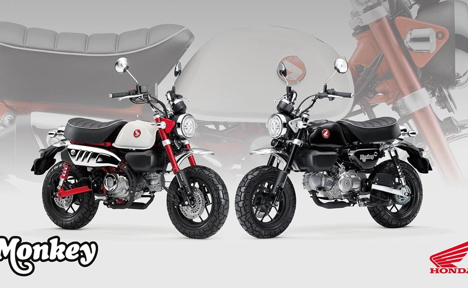 Angebot Honda Monkey 125 Bild 5: Angebot Honda Monkey 125