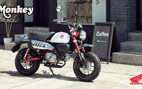 Neufahrzeug Honda Monkey 125 - Bild 6