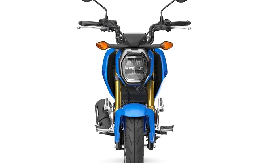 Offer Honda MSX125 Grom Bild 13: Offer Honda MSX125 Grom