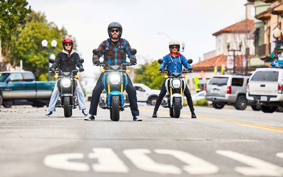 Neufahrzeug Honda MSX125 Grom - Bild 7