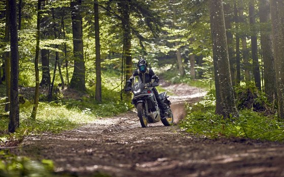 Neufahrzeug Honda XL750 Transalp - Bild 20