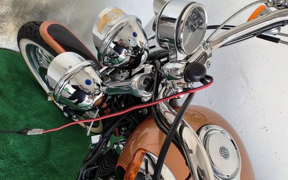 Gebrauchtmotorrad Harley-Davidson Sportster XL 1200 - Bild 5 Gebrauchtmotorrad Harley-Davidson Sportster XL 1200 - Bild 5