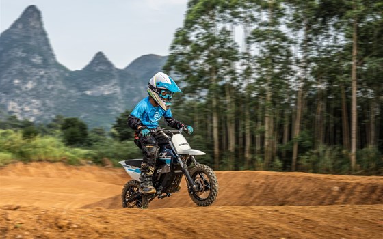 Neufahrzeug CFMOTO CX-2E - Bild 6