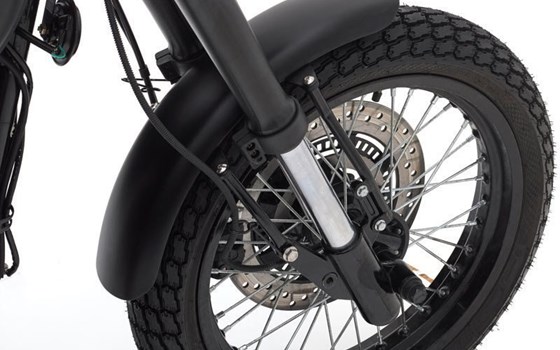 Neufahrzeug Mash Two Fifty - Bild 4