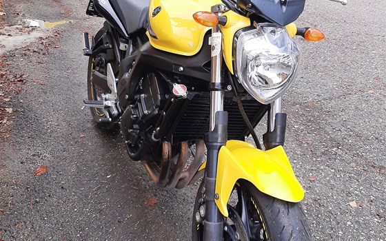 Gebrauchtmotorrad Yamaha FZ6-N S2 - Bild 2 Gebrauchtmotorrad Yamaha FZ6-N S2 - Bild 2