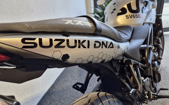 Neufahrzeug Suzuki SV650X - Bild 5 Neufahrzeug Suzuki SV650X - Bild 5