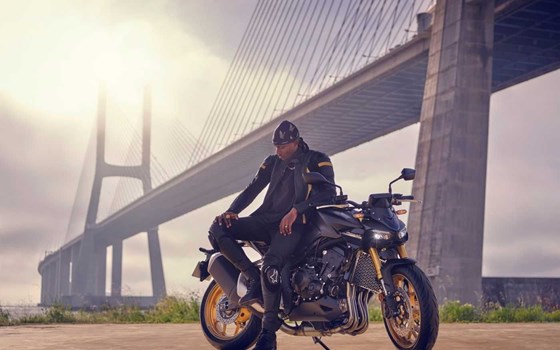 Gebrauchtmotorrad Honda CB1000 Hornet SP - Bild 15