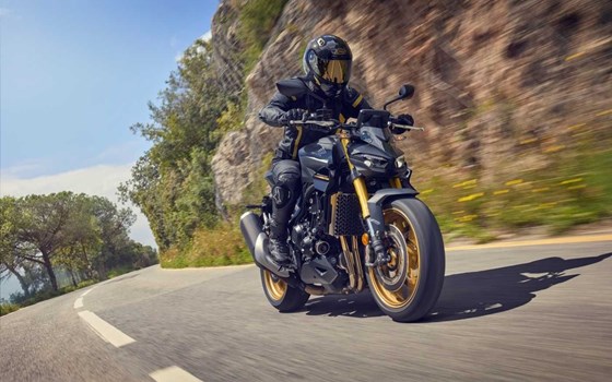 Gebrauchtmotorrad Honda CB1000 Hornet SP - Bild 23