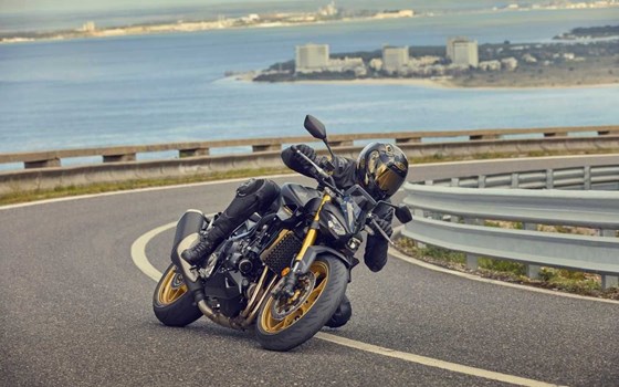 Gebrauchtmotorrad Honda CB1000 Hornet SP - Bild 9