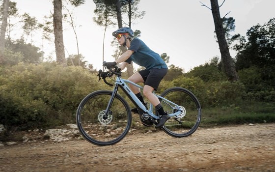 Neufahrzeug Yamaha Wabash RT - Bild 5