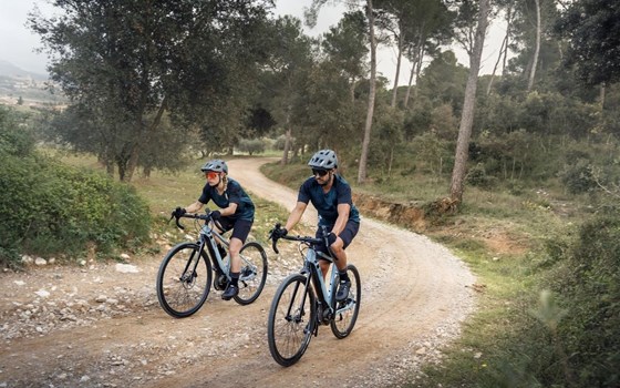 Neufahrzeug Yamaha Wabash RT - Bild 6